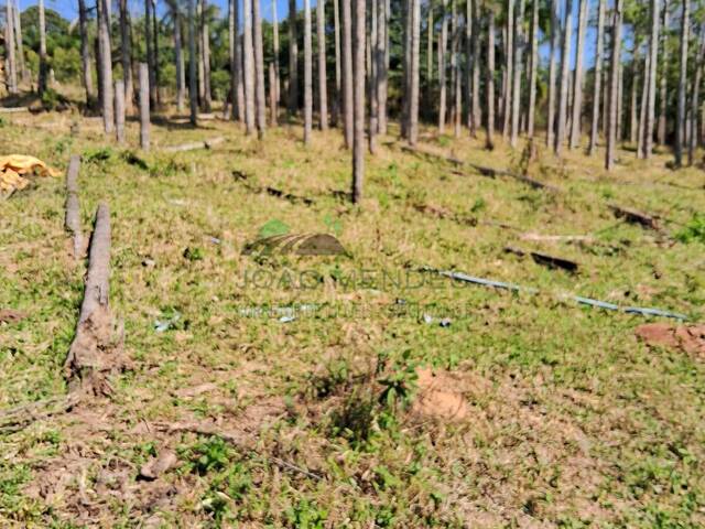 #2960 - Chácara para Venda em Jarinu - SP - 2