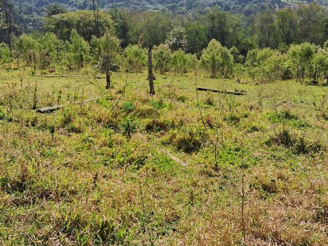 #2960 - Chácara para Venda em Jarinu - SP - 3