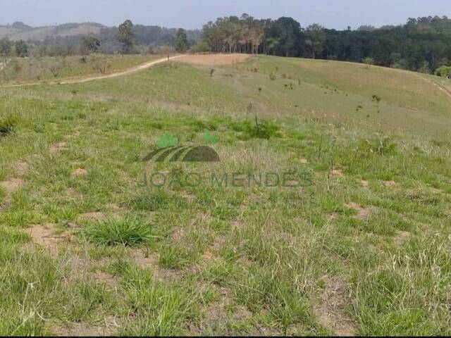 Sítio para Venda em Jarinu - 5