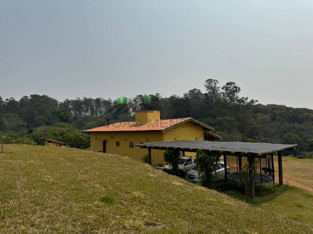 Sítio para Venda em Jarinu - 4