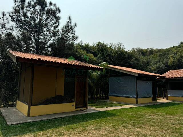 Sítio para Venda em Jarinu - 5
